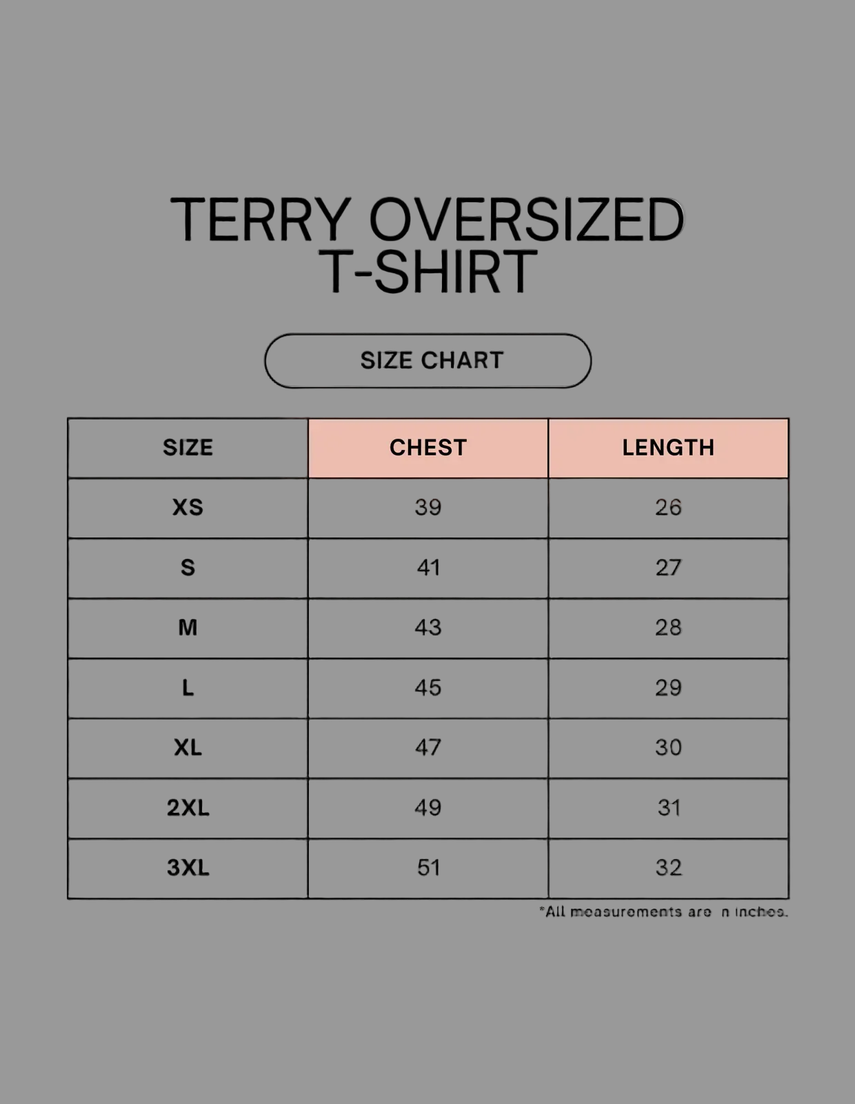 1744976688TerryteeSizeChart.png