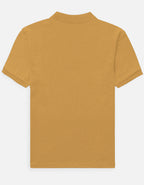 Back_3_c_43.jpg